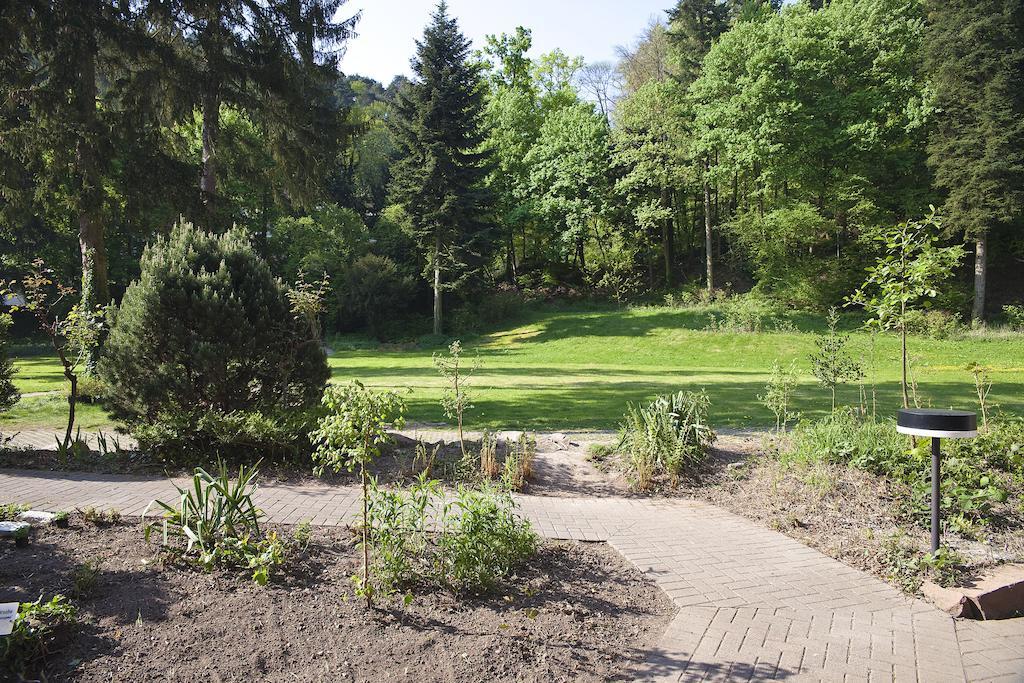 Hotel Luisenpark Bad Bergzabern Exteriér fotografie
